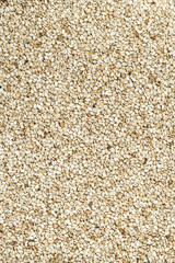 sesame seeds occupying the entire image