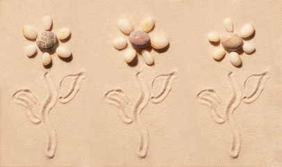 Fototapeta na wymiar Flowers of sea stones with stems and leaves on sand
