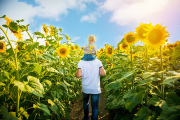 Father with son on the sunflower field