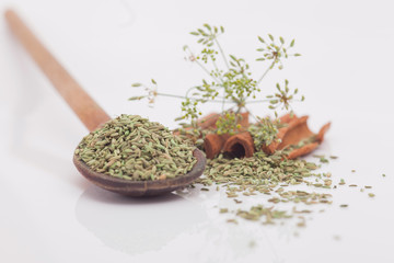 Heap of dried fennel seeds, isolated on a white background
