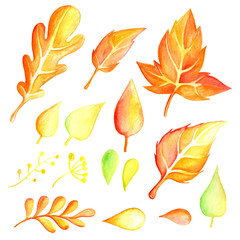 Set of autumn watercolor leaves