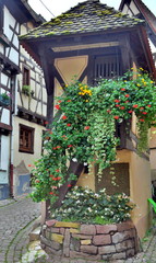 Fototapeta na wymiar Schmales Fachwerkhaus in Eguisheim