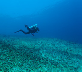 Fototapeta na wymiar Silhouette of Scuba Diver near Sea Bottom