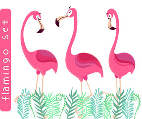 illustration with pink flamingos