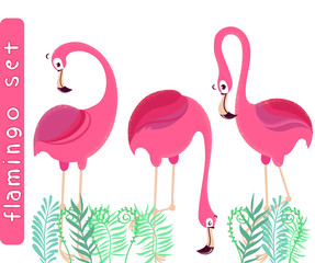 illustration with pink flamingos