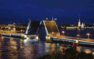 Fototapeta na wymiar Palace Bridge, Peter and Paul Cathedral. The White Nights in St.-Petersburg, Russia