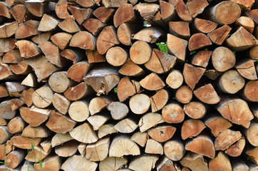 Pile of cut logs as a natural look background