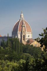 Fototapeta premium Toscana,Firenze,il duomo,cattedrale Santa Maria del Fiore.