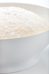 fresh, handmade, uncooked pizza or bread dough in a white bowl