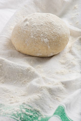 Fototapeta na wymiar fresh, uncooked pizza or bread dough ball on a white kitchen cloth