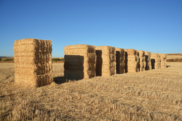 fardos de paja