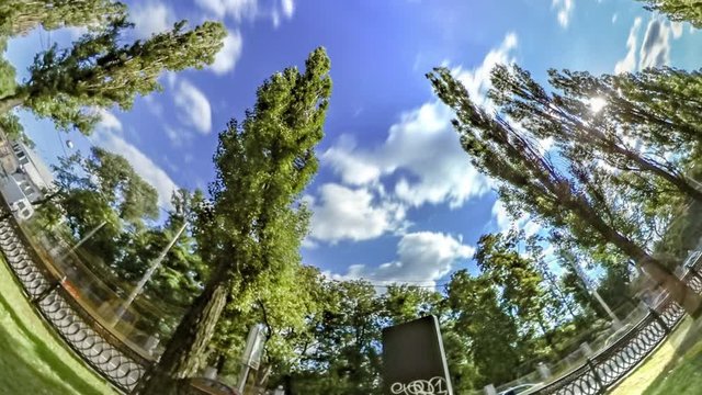 Rabbit Hole Planet 360 Degree Avenue Taras Shevchenko Prospectus in Kiev Bench in Alley Bright Green Trees Lawns Walking People Cars Are Driven by Road