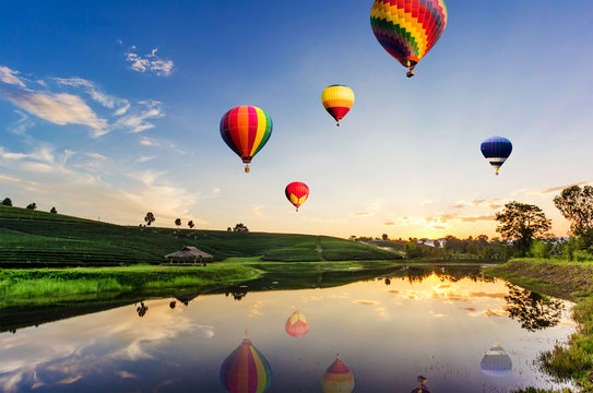 Colorful hot-air balloons flying over tea plantation landscape at sunset.