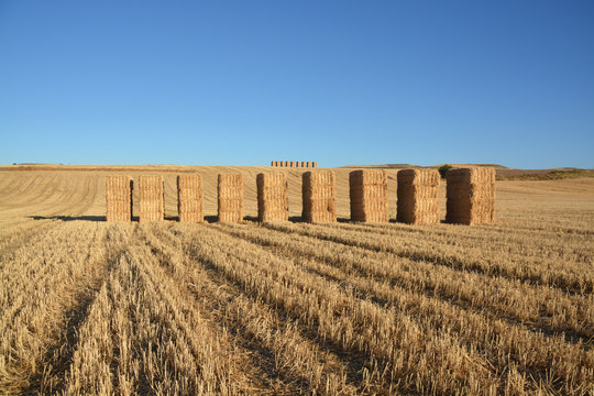 fardos de paja