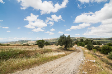 Country road in Troodos region of Cyprus