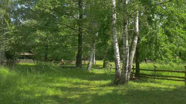 Several People Walking Near Fenced Lawn