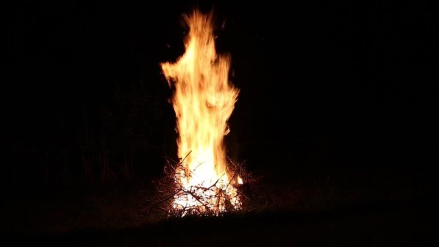 Ночной костёр из сухих веток
