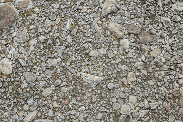 high detail small rock from wet ground texture for background.