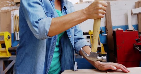 Smiling carpenter removing a nail in wooden plank - Powered by Adobe