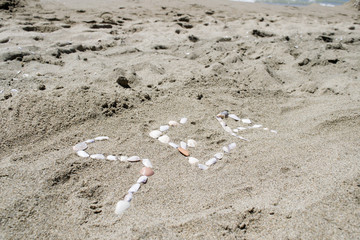 written sea on the sand with the shells