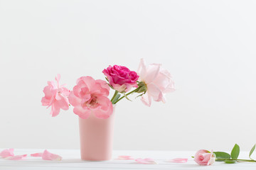 Pink roses in vase  on white background