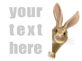 A funny rabbit proposes an advertising message