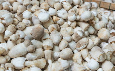 The rice straw mushroom for sell in the market