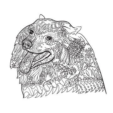 Line art of cute spritz dog with pattern for coloring on white b