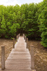 wooden Walkway, wooden bridge through mangrove forrest in Chantaburi province, Thailand