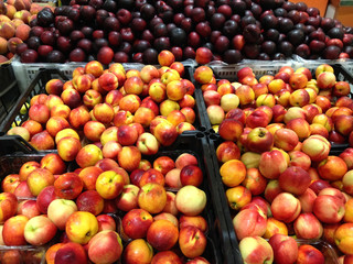 Many fruits nectarines and plums lying in boxes in supermarket