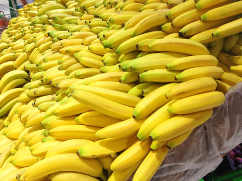 Many fresh bananas lying in boxes in supermarket