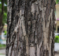 the old wood and texture detailing