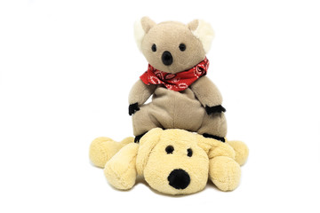 Doll Dog brown and  koala bare isolated on white