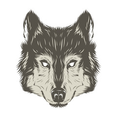 Wolf head hand draw