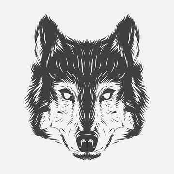 Wolf head hand draw