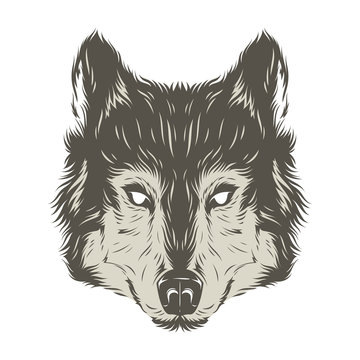 Wolf head hand draw
