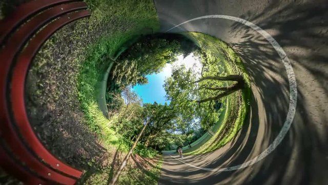 360Vr Video Bench by Park Alley Street Lamp Road in Park is Marked Dark Red Bench Green Trees Grass Green Lawns Sunny Day Blue Sky Summer Spherical Panorama