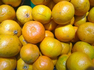  The orange in a market