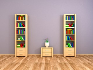 Two bookcases at the wall