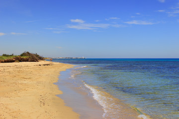 The Regional Natural Park Dune Costiere. (Apulia)ITALY. In the distance you can see the town Torre Canne.The park covers the territories of Ostuni and Fasano along eight kilometers of coastline.