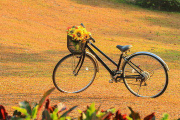Fototapeta na wymiar Vintage Bicycle with basket full of flowers standing in the field