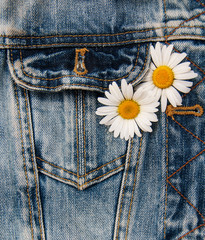 daisy in jeans pocket