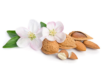 Fototapeta na wymiar Almonds with leaves and flowers close up on the white background