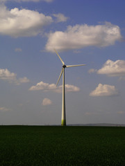 Fototapeta premium windmill on field