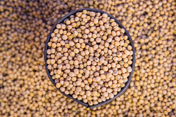 Soya beans in the can.