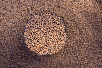 The coriander seeds in the can.
