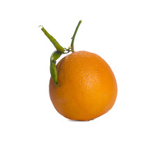 Lonely orange isolated on white background.
