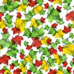 Watercolor pattern with vintage pattern - autumn leaves of red and green,
yellow