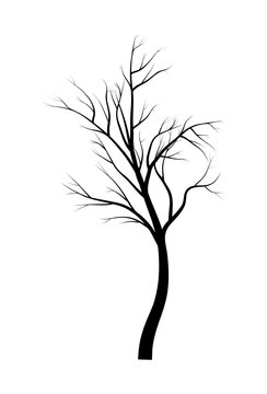 bare  tree branch silhouette vector symbol icon design. Beautiful illustration isolated on white background