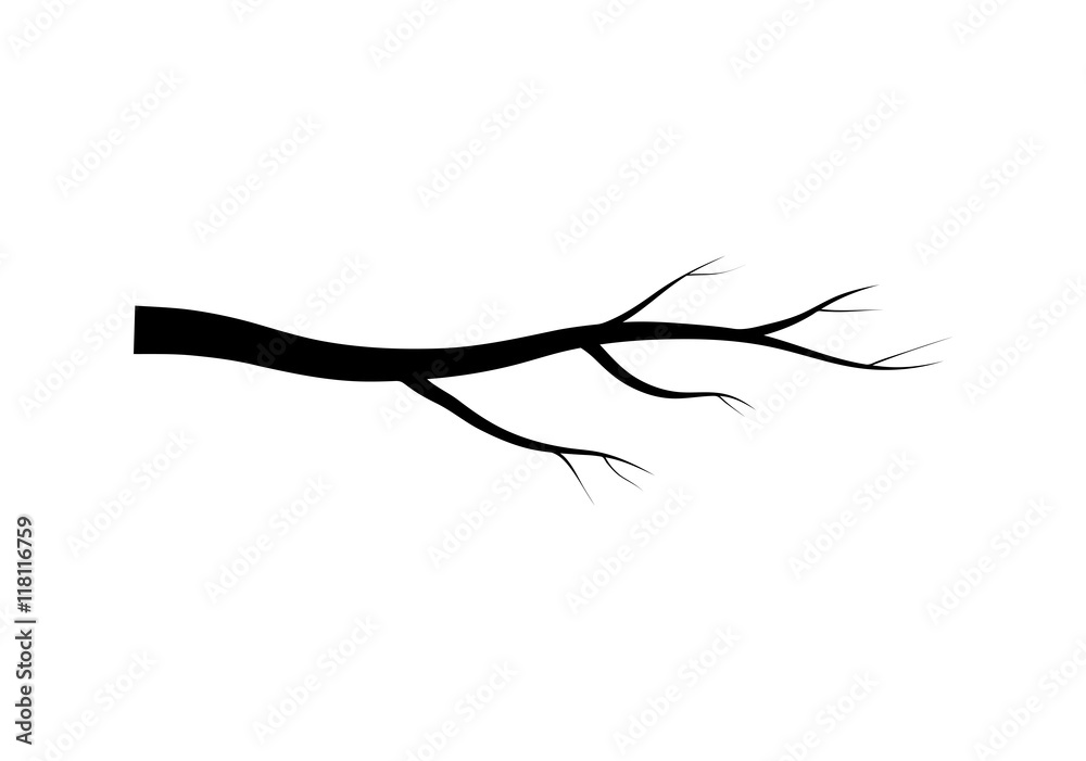 Wall mural bare branch tree silhouette vector symbol icon design. Beautiful illustration isolated on white background